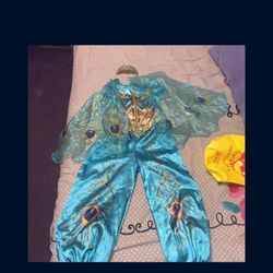 Disney Costume Of Princess Jasmine
