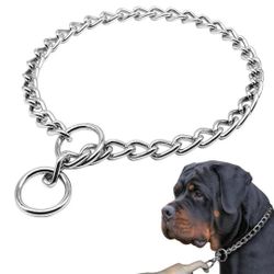 Dog Chain Collar