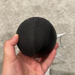 Echo Dot 
