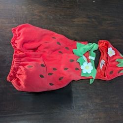 Used  2/4 Toddler Strawberry 🍓