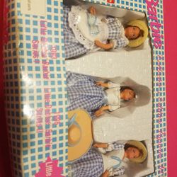 Collectable Little Debbie Barbies