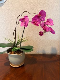 Artificial Orchid