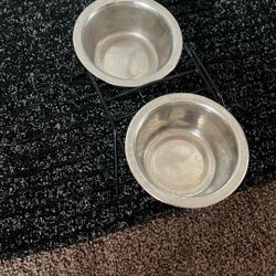 Kitten Bowls With Stand