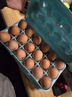 Fresh Farm Eggs