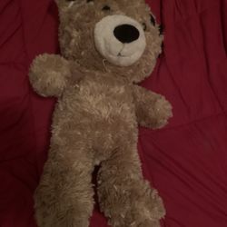 One brown teddy bear #teddybear