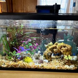 Fish Tank 5 Gallon 