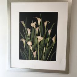 Lili Frame 35x41
