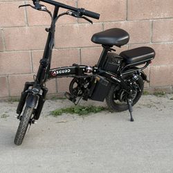Asgurd Electric Bike