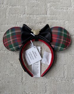 VIP Disneyland tour Mickey Minnie ears