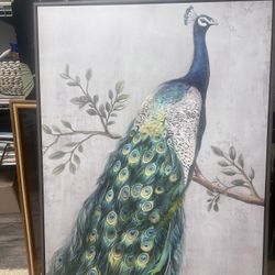 Peacock Wall Print 