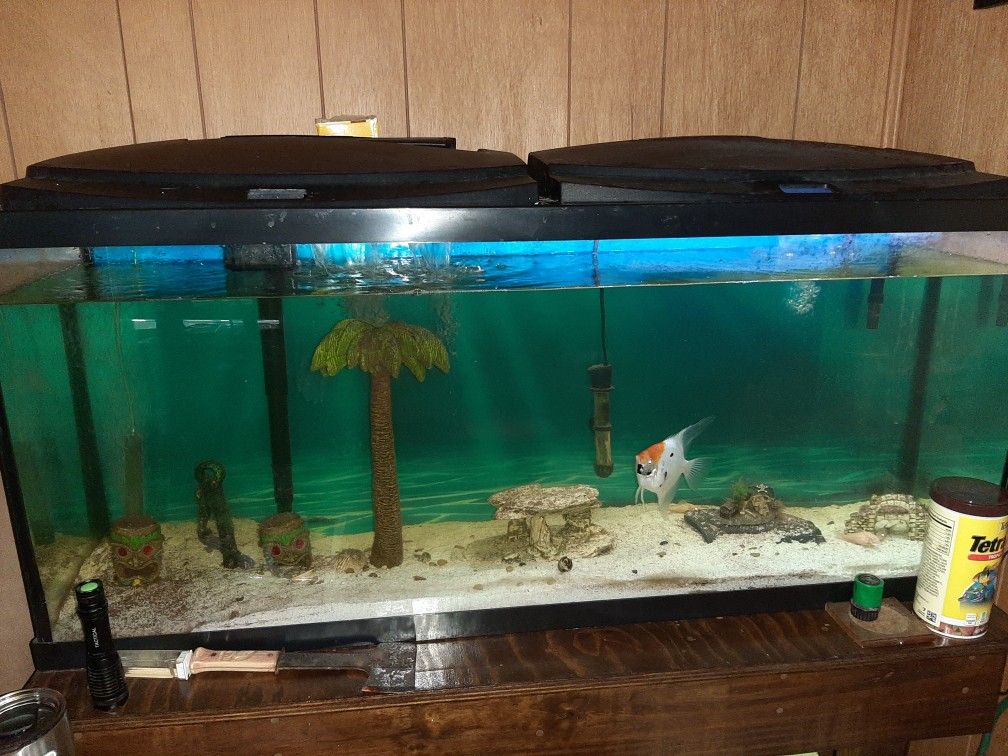 55 Gallon Fish Tank With Stand