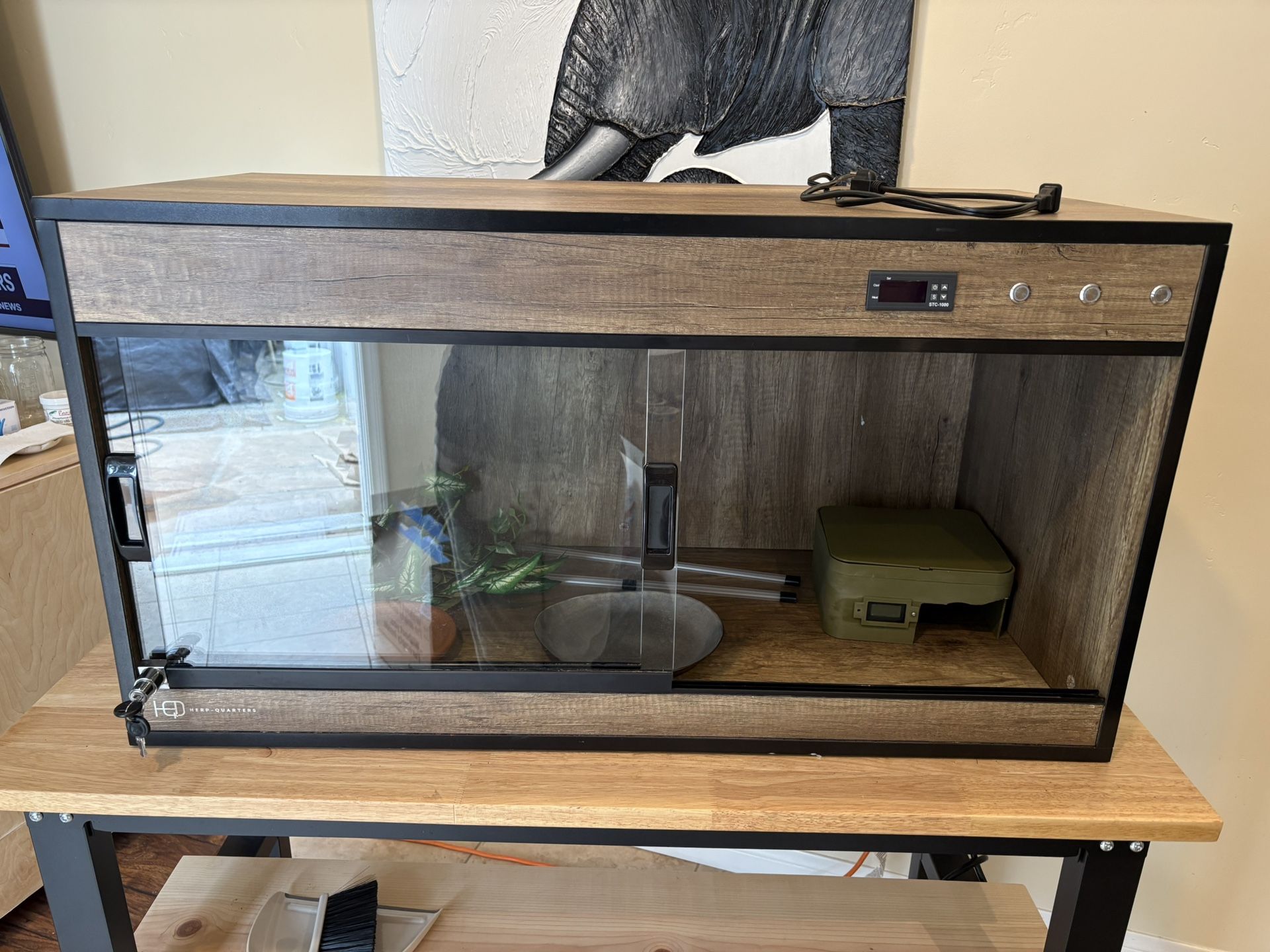 Herp Quarters Vivarium