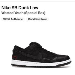 Nike SB Dunk Low Wasted Youth Size 8.5