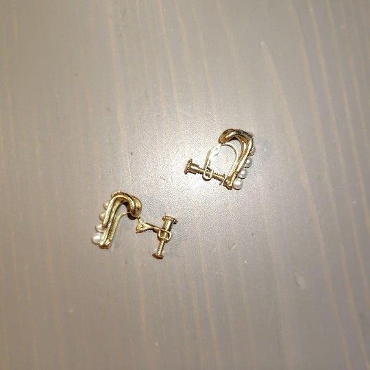 Used earrings