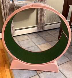 31in Cat Exercise Wheel