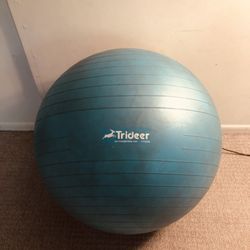 Large Yoga Ball For Sale