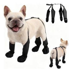 Dog Water Boots