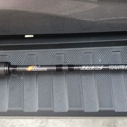 Phenix RTS Spinning Rod