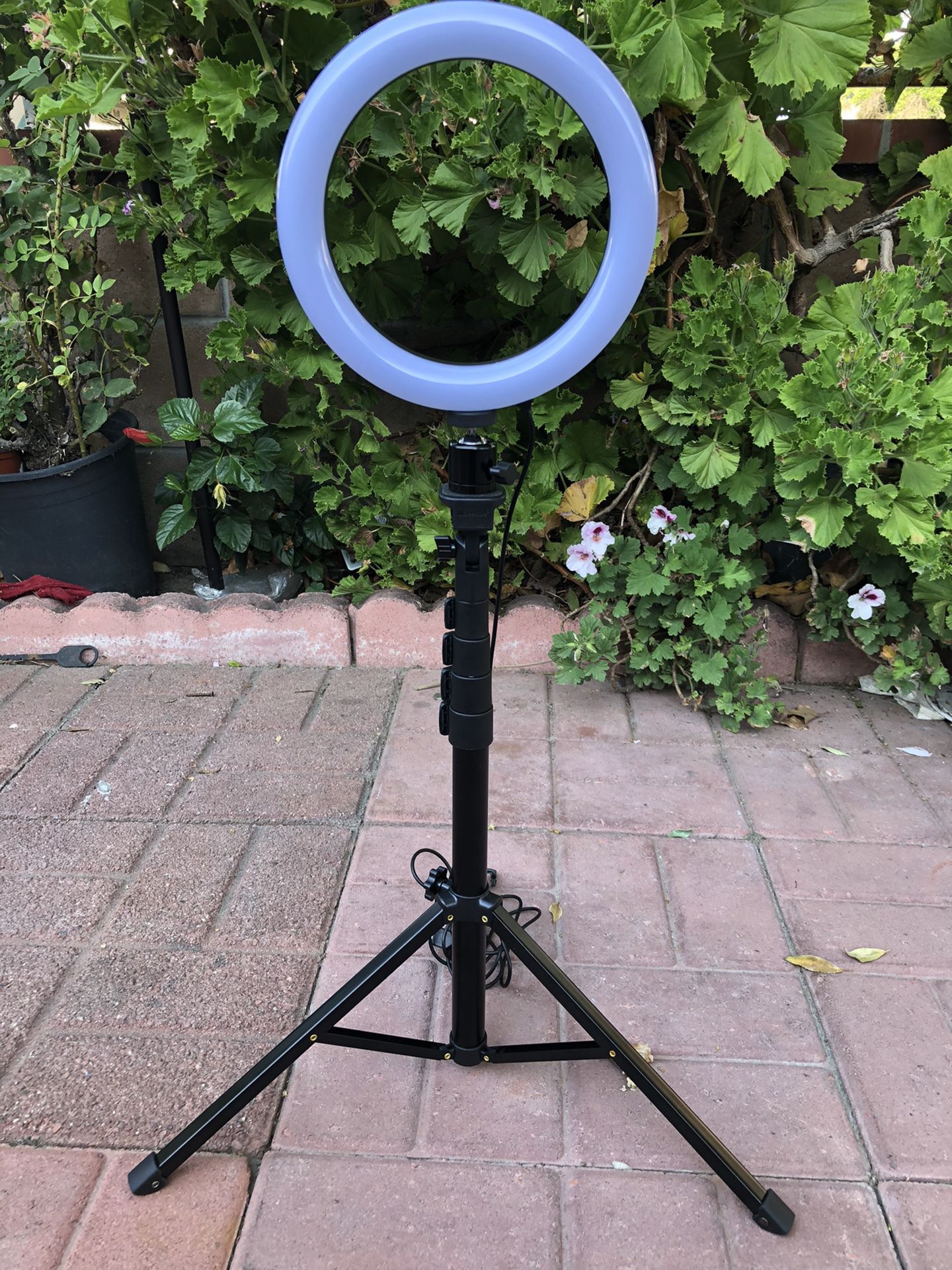 8" Selfie Ring Light with Tripod Stand & Cell Phone Holder for Live Stream/Makeup, Mini Led Camera Ringlight for YouTube Video/Photography C