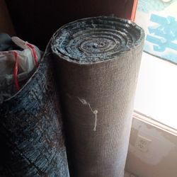 Must Pick Up Today Rug