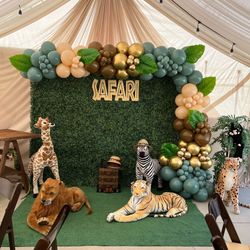 Balloons Decor Backdrops Props 🥳🥳🥳