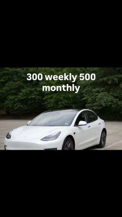 2023 Tesla
