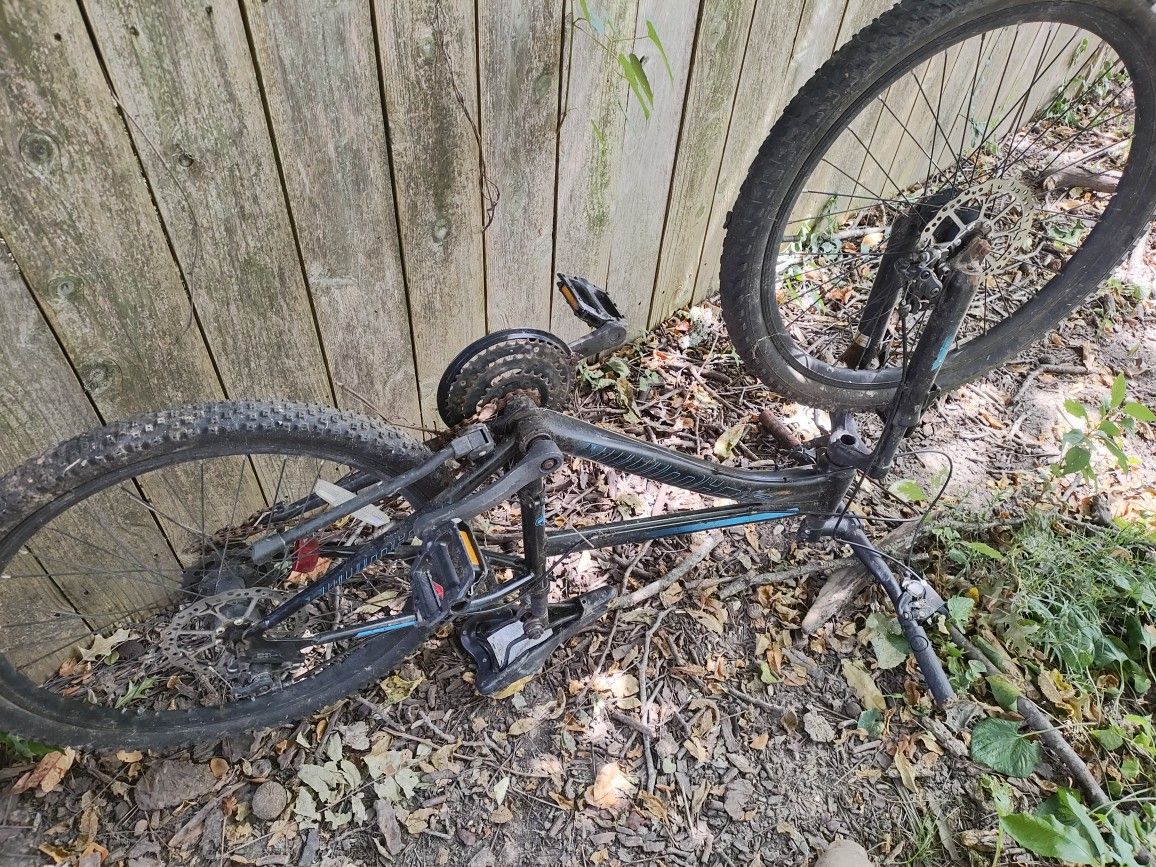 Bike
