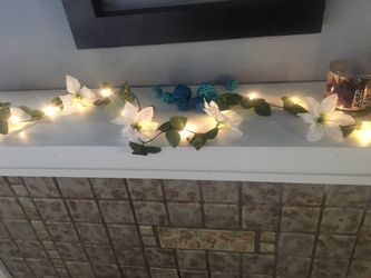 Vines with lights