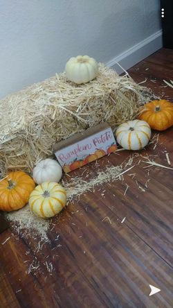 Decorator/event planner