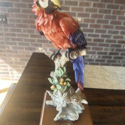 Giuseppe Armani Florence Macaw 0277C