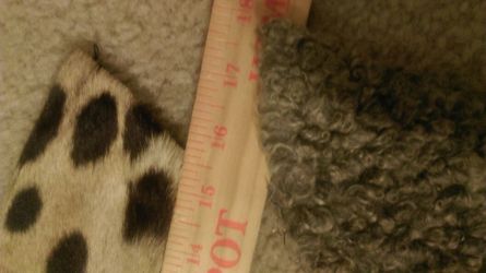 1 leopard and 1 lamb collar vintage real fur