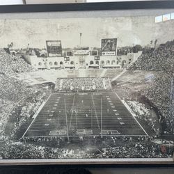 USC - LA Coliseum Picture