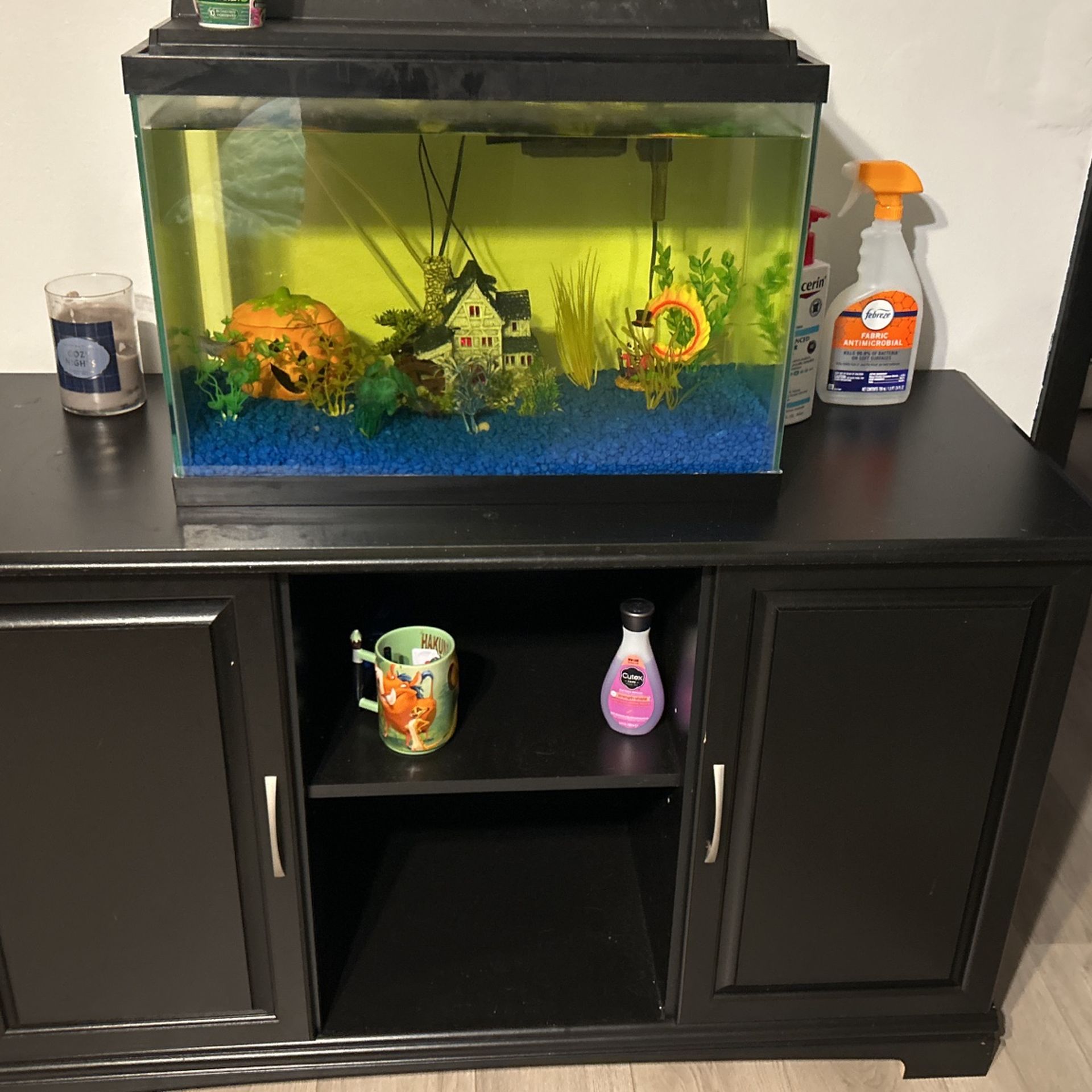 Fish Tank & Stand
