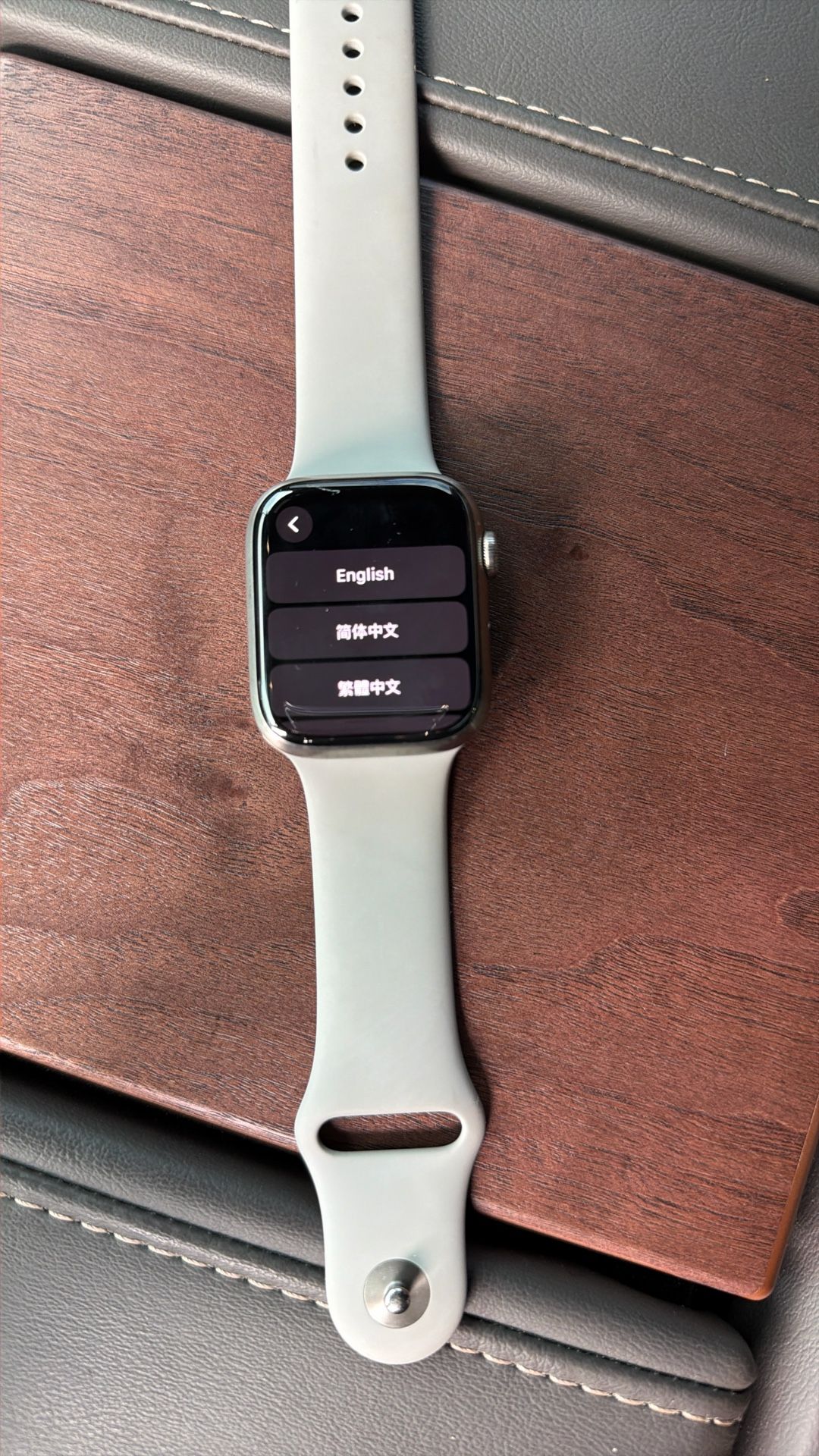 Apple Watch Series 7, 45 Mm, Titanium & Ceramic Case 