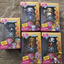 Boxy Girls Pets