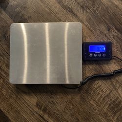 Professional Scale 