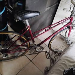 Nishiki  Road Bike
