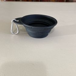 Dog Bowl