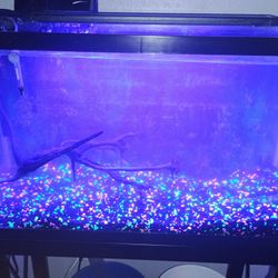 Fish Tankwith The Pump Filter And Other Attachments 