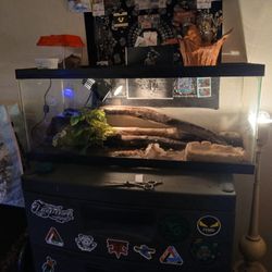 Zilla Reptile Tank 3ft Long, 12inch Tall , With Removable Top With Feeder Door 