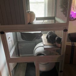 Cat Enclosure 