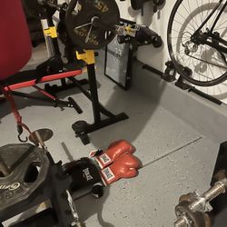 Everlasting Boxing Gloves (2 Pair)