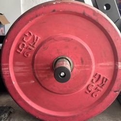 Bumper Plates Pair  25kg/55lbs