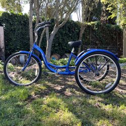 Adult Schwinn Tricycle