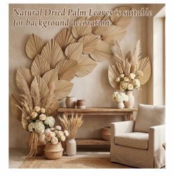 Novabright 24 Pcs Dried Palm Leaves