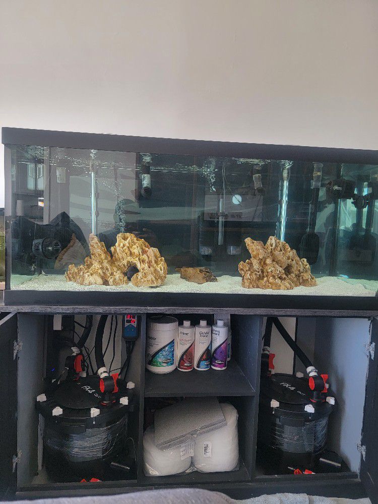 75 Gallon Aquarium 