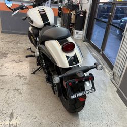 2025 Benda Chinchilla 300