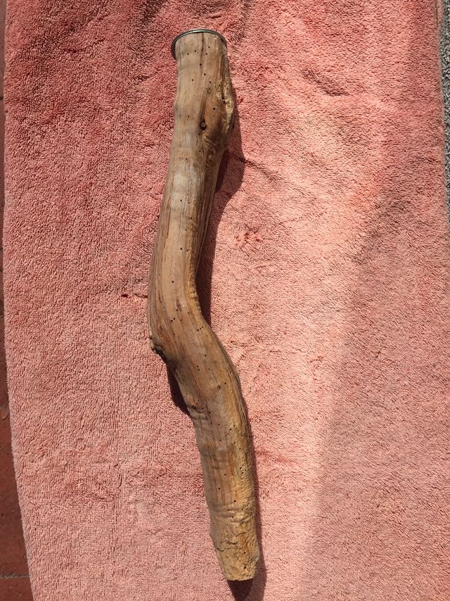 Parrot Perch
