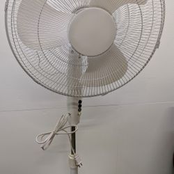 Oscillating Fan 