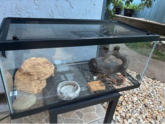 Reptile Terrarium / Glass Tank with Stand & Accessories – $70